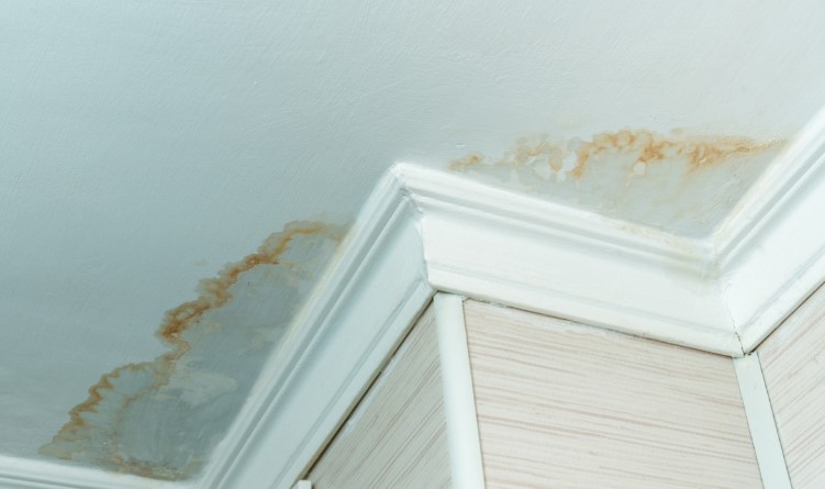 Advanced Roof Leak Detection